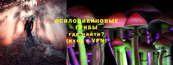а пвп мука Великий Новгород