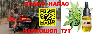 стафф Донской