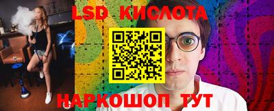 стафф Донской