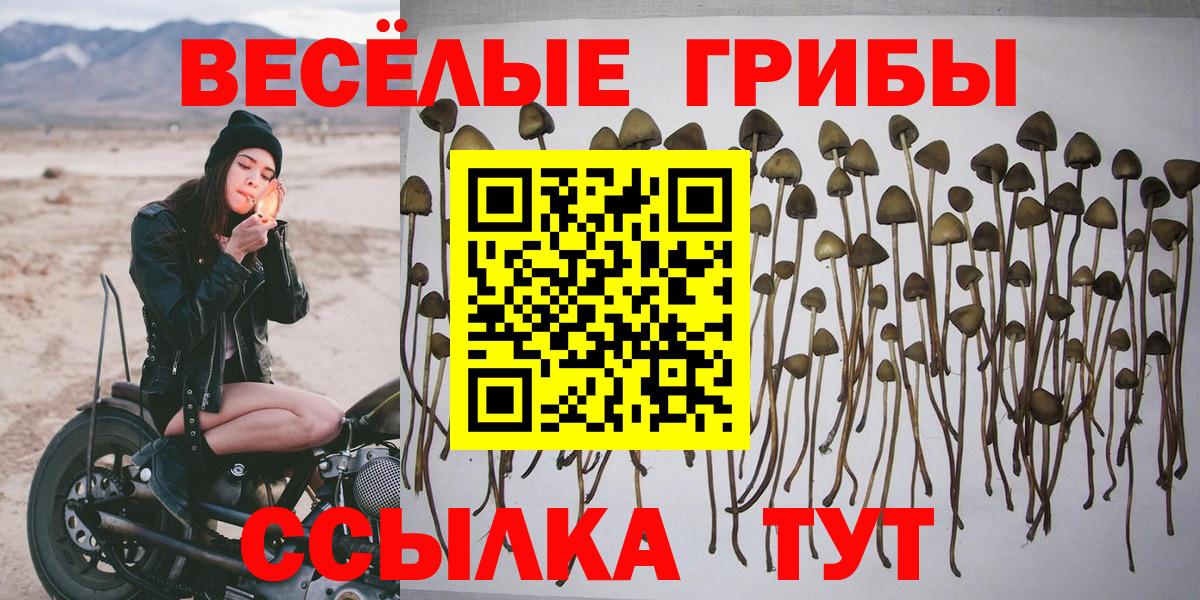 Псилоцибиновые грибы мухоморы Первоуральск