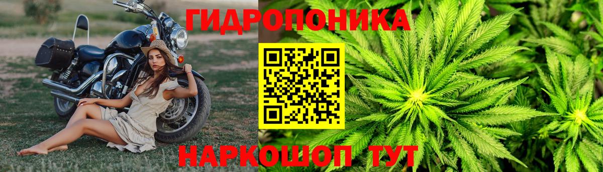 Шишки марихуана Bruce Banner  Каннабис SATIVA & INDICA  Первоуральск  Вход с VPN  Бошки марихуана Amnesia 